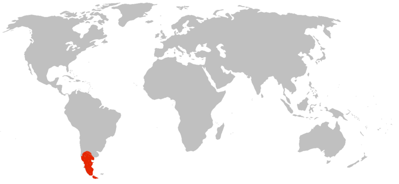 patagonie-carte-du-monde