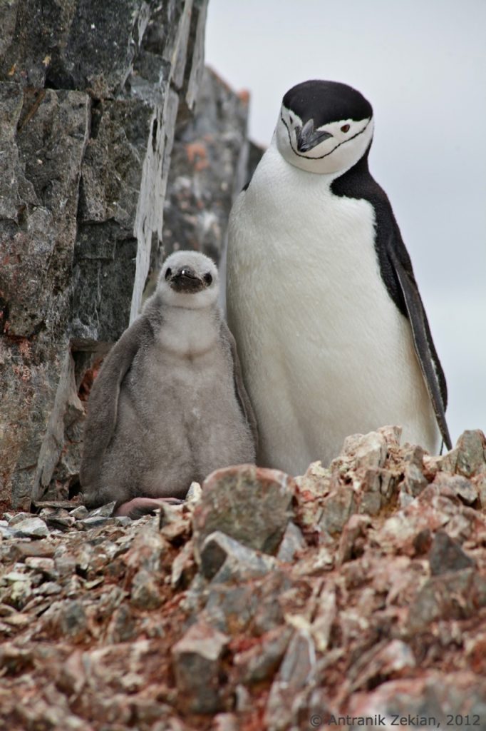 rencontre avec son bebe