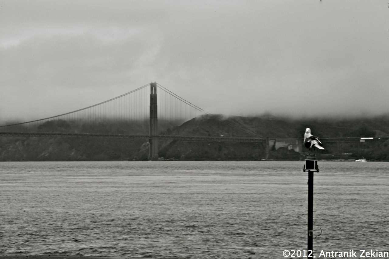 IMG_5293_test